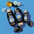 Garnier Ultra Doux Black Charcoal & Nigella Seed Oil Purifying Shine Shampoo 200 ml
