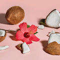 SheaMoisture Coconut & Hibiscus Curling Gel Souffle Cream Gel Agave Flaxseed Coconut Oil 340g