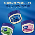 Vaseline Petroleum Jelly Cocoa Butter Moisturizing Jelly