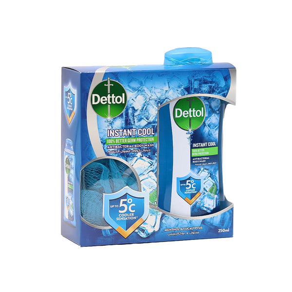 Dettol Cool Body Wash Mint Bergamot Refreshing Formula with Loofah 250 ml