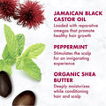 SheaMoisture Jamaican Black Castor Oil Strengthen & Restore Shampoo, Shea Butter, 384 ml