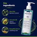 Isispharma Teen Derm Gel Sensitive Purifying Cleanser Zinc Avocado Oily Skin 400 ml