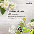 Dabur Amla Jasmine Hair Oil Liquid Rosemary & Amla for Coloured Hair 200 ml