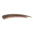 Rimmel Brow This Way Eyebrow Sculpting Kit Powder and Wax Dark Brown