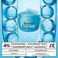 Garnier SkinActive Fresh & Plump Hyaluron Face Cream 4% Niacinamide and Hyaluronic Acid 85 ml