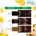 Garnier Color Naturals Creme Hair Color Permanent Cream Chocolate Brown 6.7