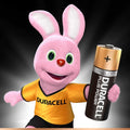 Duracell Plus Power AAA Alkaline Batteries, 4 Pack