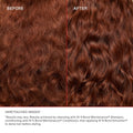 Olaplex The Full On Shine Set Haircare Kit, 4-Piece Bond Maintenance System