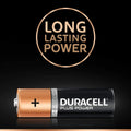 Duracell Plus Power Alkaline AA Batteries, Duralock Technology, 2 Pack