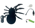 Nanhong 2.4G RC Spider Toy with Spray Function, Sound Effects and 3.7V Lithium Battery