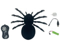Nanhong 2.4G RC Spider Toy with Spray Function, Sound Effects and 3.7V Lithium Battery