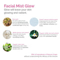 Evian Face Mist Glow Hydrating Spray White Tea and Aloe Vera 100 ml
