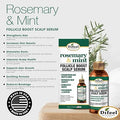 Difeel Rosemary Mint Follicle Boost Scalp Serum Liquid Hair Serum 145ml