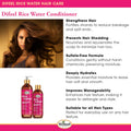 Difeel Rice Water Conditioner Sulfate-Free Hydrating Formula