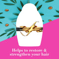 Ogx Renewing+ Argan Oil of Morocco Conditioner for Dry Hair, pH Balanced, 385ml
