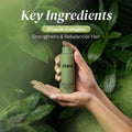 Clara Clarifying Shampoo Liquid Deep Cleansing Vitamin-Enhanced Formula 300 ml