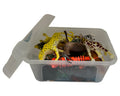 Jia Zhu Wild Animals Set Realistic Animal Figures 14 Pieces