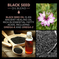 CHI Black Seed Oil Fortify Hair Shampoo, Volumizing Liquid with Vitamin E, 739 ml