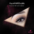 Accez Wings False Eyelashes, Reusable Human Hair, Fluttery Volume and Length