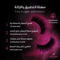 Accez Wings False Eyelashes, Reusable Human Hair, Fluttery Volume and Length
