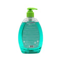 Petrova Moonflower Hand Wash Liquid Soap, Moisturizing Formula, 500ml