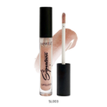 Best Lip Gloss 2022 Hydrating Shiny Finish Make Over22 5ml