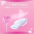 Always Maxi Thick Soft Cotton Sanitary Pads with Wings Large 50 Pads