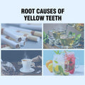 Disaar Lemon Flavor Teeth Whitening Powder 50g