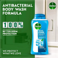 Dettol Antibacterial Body Wash, Mint and Methanol, 250ml, 2 Pack