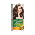 Garnier Hair Dye Dark Ash Blonde 6.1, 112ml, Gray Coverage