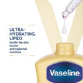 Body Lotion Essential Care Moisturiser for Dry Skin by Vaseline 725ml