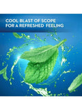 Mouth Freshener Strips Mint Flavor Fast-Dissolving Papermints 24 Strips