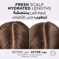 Best Shampoo For Oily Hair Hyaluron Pure Purifying ELVIVE 600ml