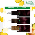 Best Semi Permanent Hair Color for Dark Hair Garnier 3.6 Deep Reddish Brown 1 Pack