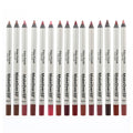 Makeover 22 Waterproof Filter Lip Liner Matte Shade 06