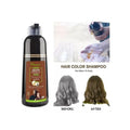 Hair Dye Shampoo Natural Brown Ginseng & Snake Oil Disaar 400ml