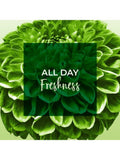 Panty Liners Regular Daily FreshDays 24 Pads