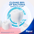 Medium Bristle Toothbrush 4D Stain Reduction Pack of 2 Signal