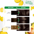 Light Brown Hair Dye Permanent Ash Shade Garnier 112ml