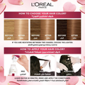 L'Oreal Paris Permanent Hair Dye in Light Blonde 8, with Gray Coverage, 192ml