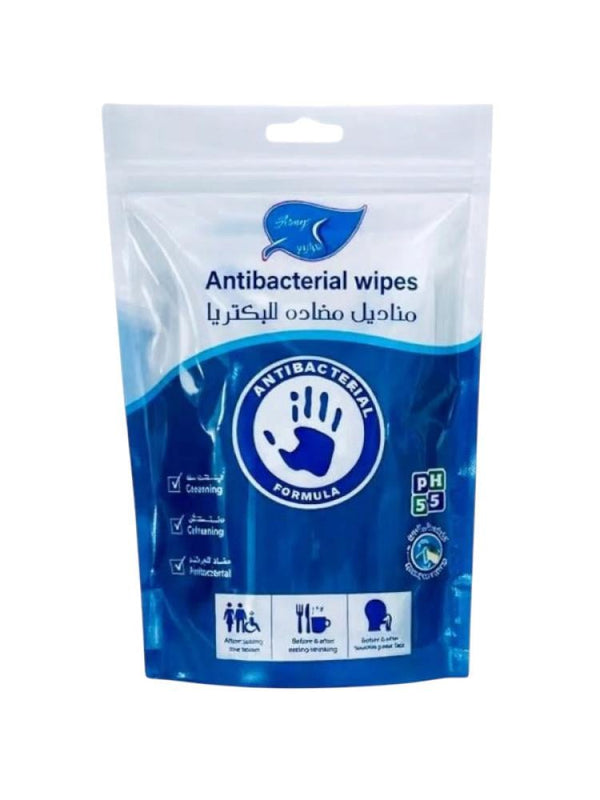 Antibacterial Wipes for Travel pH Balanced Cool Scent Al-Arays 100 Wipes