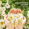 Chamomile Conditioner Best Hair Conditioner Lightweight 145ml