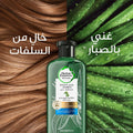 Best Shampoo for Hard Water Strengthening Aloe Vera & Bamboo Herbal Essences 400ml