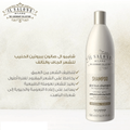Shampoo for Dry Damaged Hair Milk Protein Bamboo Extract El Salon Milano 500ml