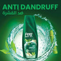 Pert Plus 4-in-1 Anti-Dandruff Shampoo with Clay and Bamboo, 360ml