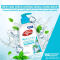 Lifebuoy Hand Wash Cool Fresh Refreshing Cleansing Formula 450ml