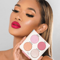 The Balm Well Powder Cheek Kit 4-Shade Blush and Eyeshadow Palette