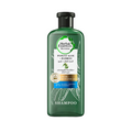 Herbal Essences Strengthening Shampoo, Aloe Vera & Bamboo, 400ml
