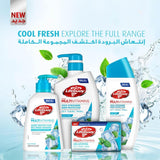 Lifebuoy Anti-Bacterial Body Wash Cool Fresh Refreshing Clean 500ml