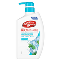 Body Wash Cool Fresh Antibacterial Daily Cleansing Lifebuoy 500ml